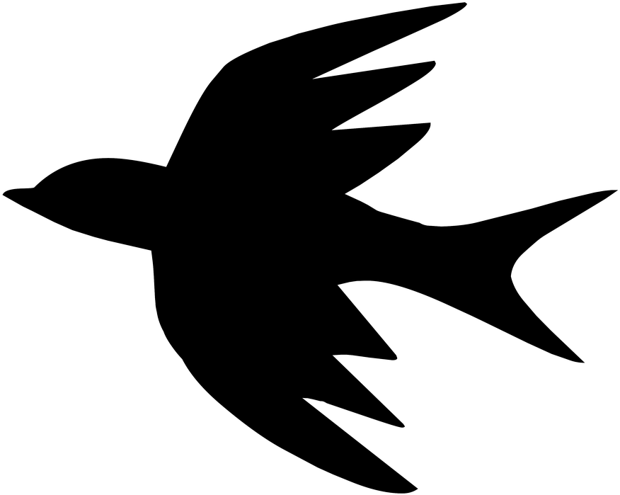 Hummingbird Drawing Silhouette 15, - Fugl Tegning (895x720)