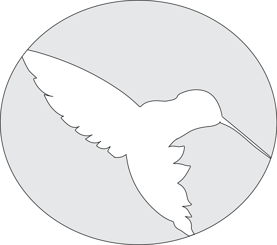 Here's A Hummingbird You Can Trace Onto Your - Icon (1058x935)