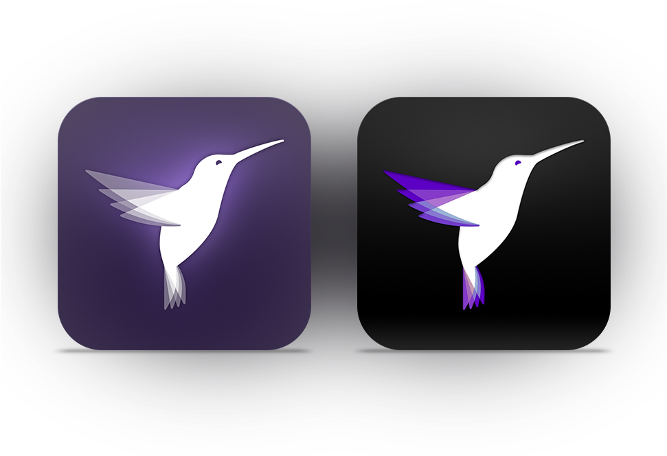 Flixel Logo - Hummingbird (970x673)