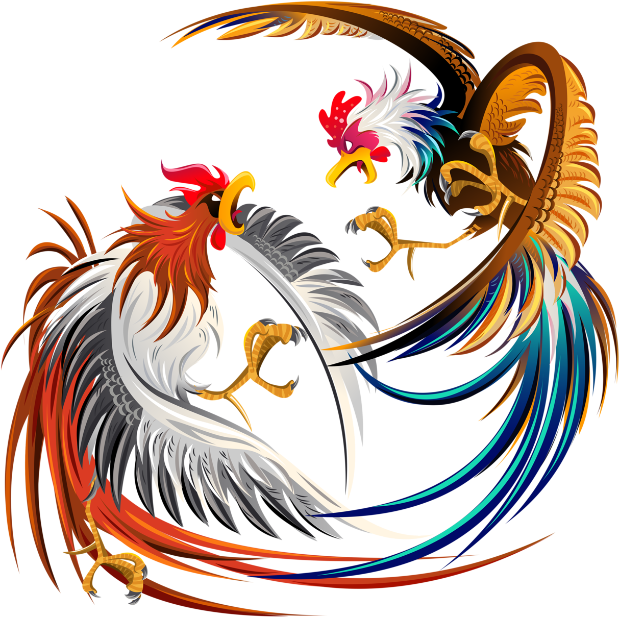 Cockfight Rooster Chicken Illustration - Fighting Cocks.