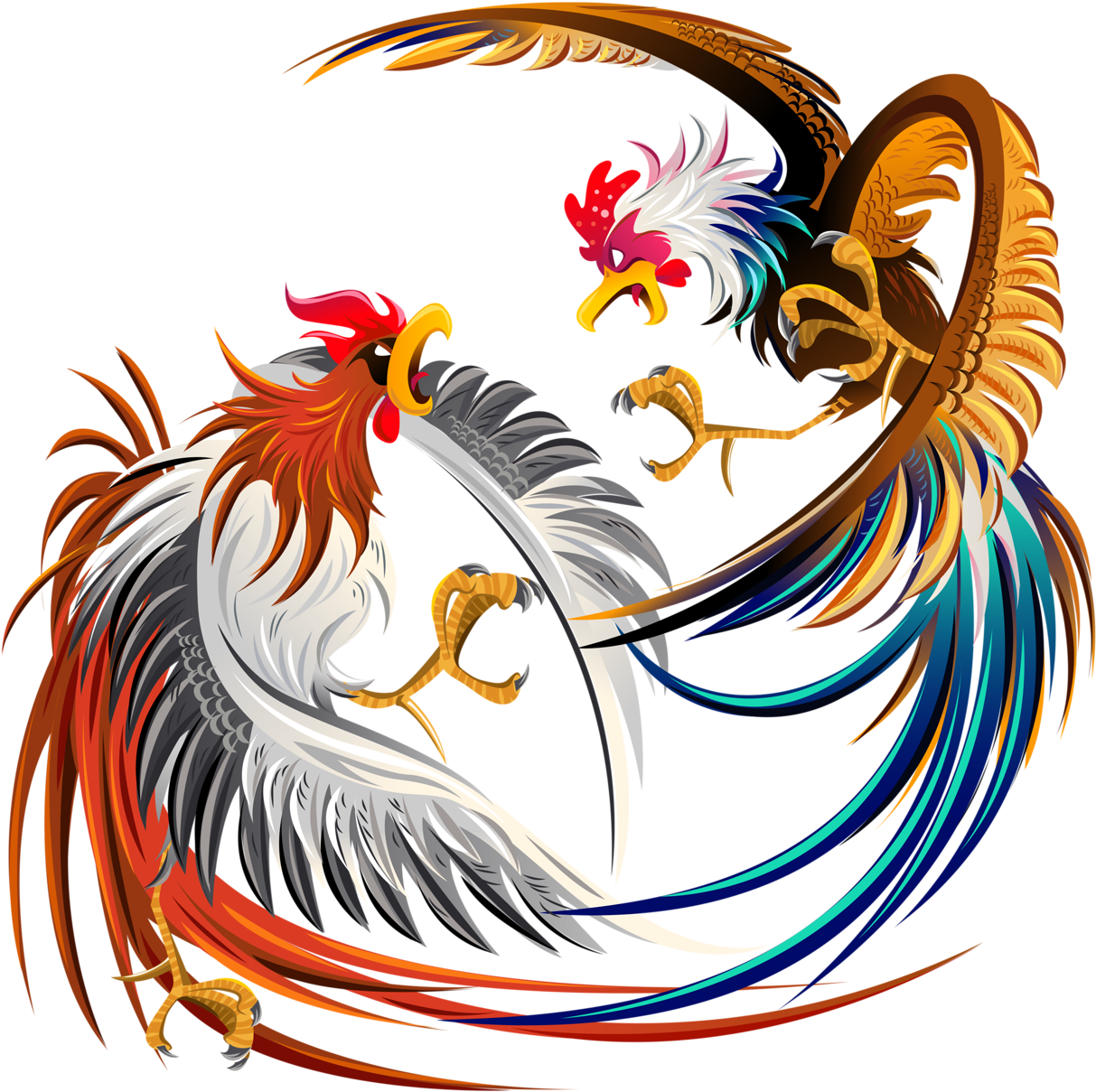 Cockfight Rooster Chicken Illustration - Fighting Cocks (1280x1280)