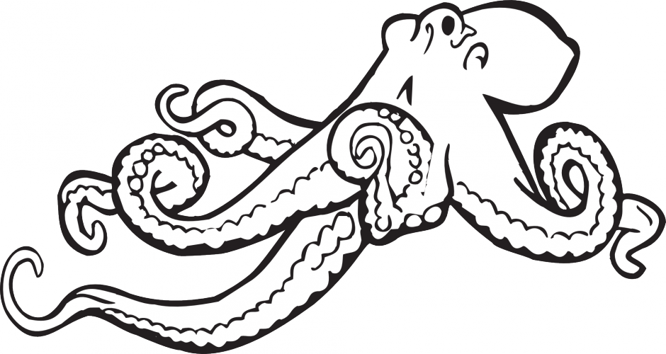 Coloring Page Book Octopus Black White Line Art Colouring - Octopus Black And White (940x500)
