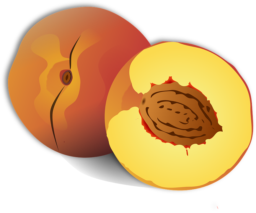 Nectarine Clipart Peach Pie - Clipart Peach (867x720)