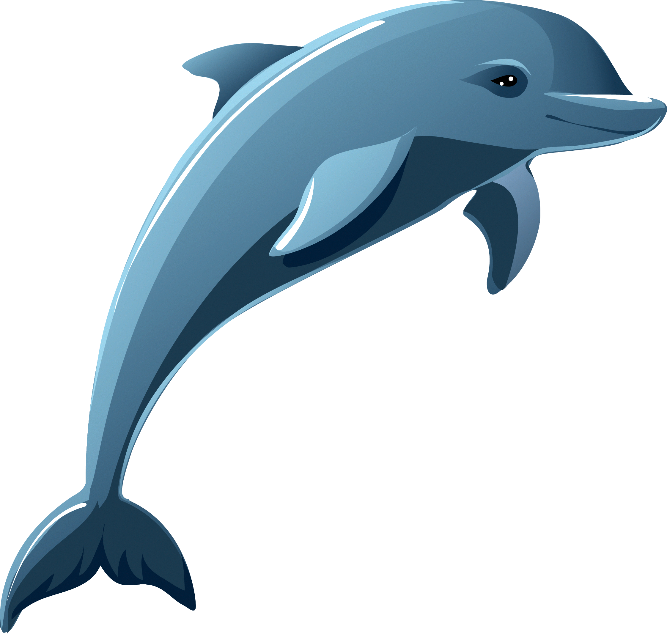 Dolphin Stock Photography Clip Art - Cartoon Dolphins (2244x2133)