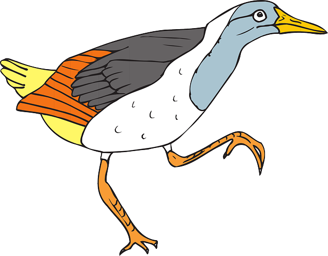 Wings, Art, Walking, Animal, Feathers, Species - Walking Bird Clip Art (640x500)
