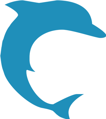 Dolphin - Northern Seahorse (800x382)