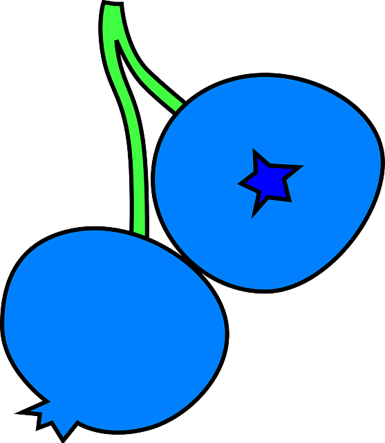 Drawing Black, Two, Berries, Blue, Fruit, Outline, - Blueberry Clipart (557x640)