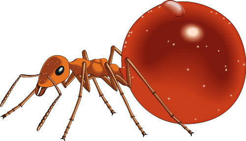 Ant Free To Use Clip Art - Honey Pot Ant Clip Art (500x288)