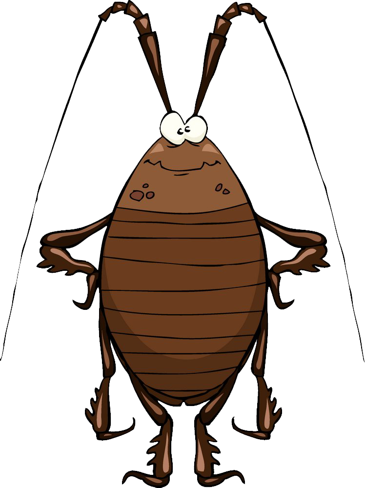 Cockroach Cartoon Stock Illustration Clip Art Cockroach - Funny Cockroach (1276x1276)