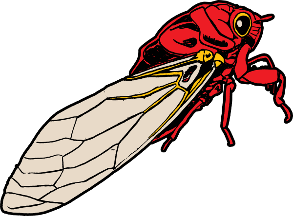 Cicada Bug Clip Art At Clkercom Vector Online Royalty - Cicada Clip Art (600x444)
