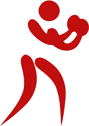 Boxing - Cafepress Hit Like A Girl Full/queen Duvet Cover (341x470)