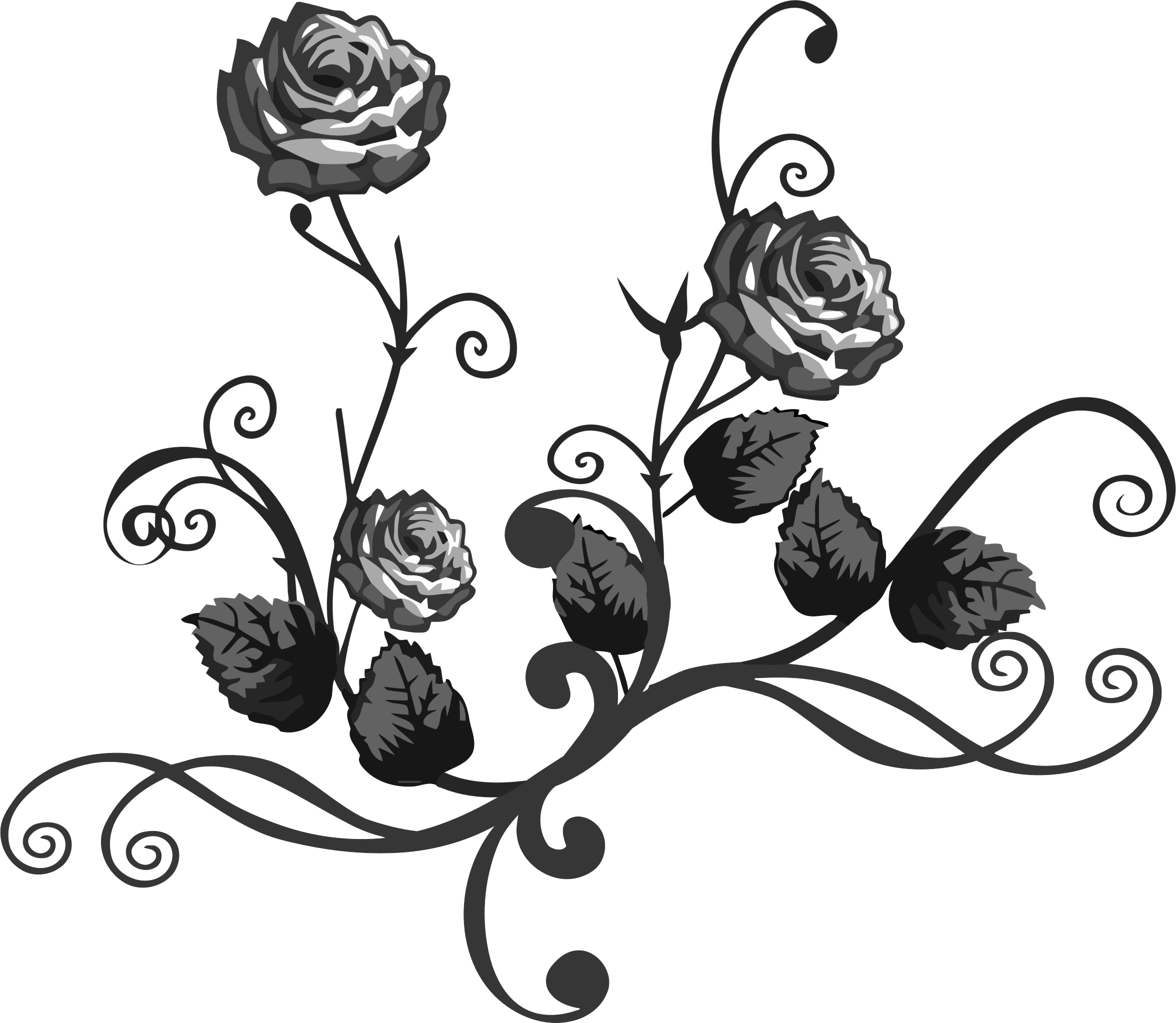Black And White Flowers Png (2352x2046)