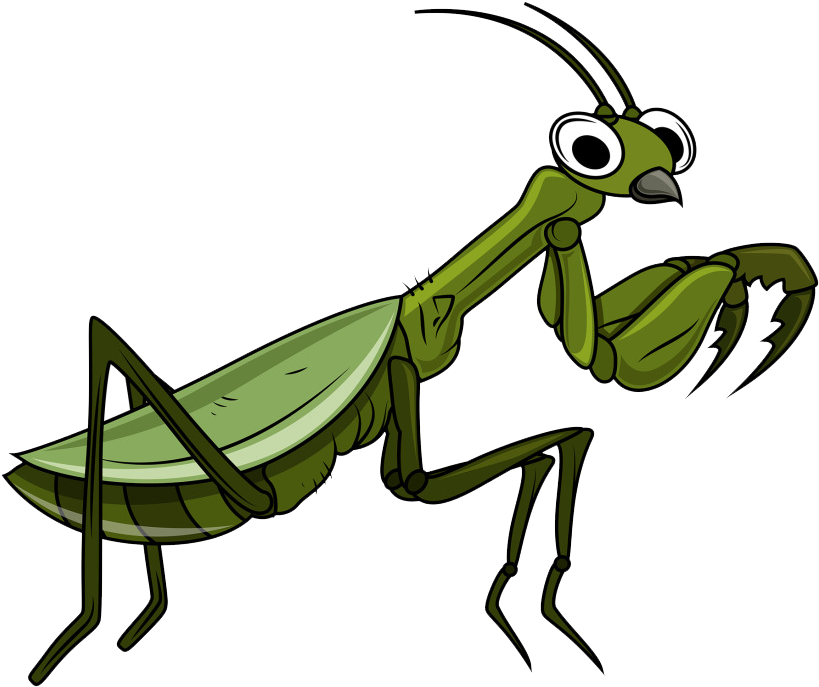 Grasshopper Cartoon Clip Art - Gafanhoto Desenho (1024x918)
