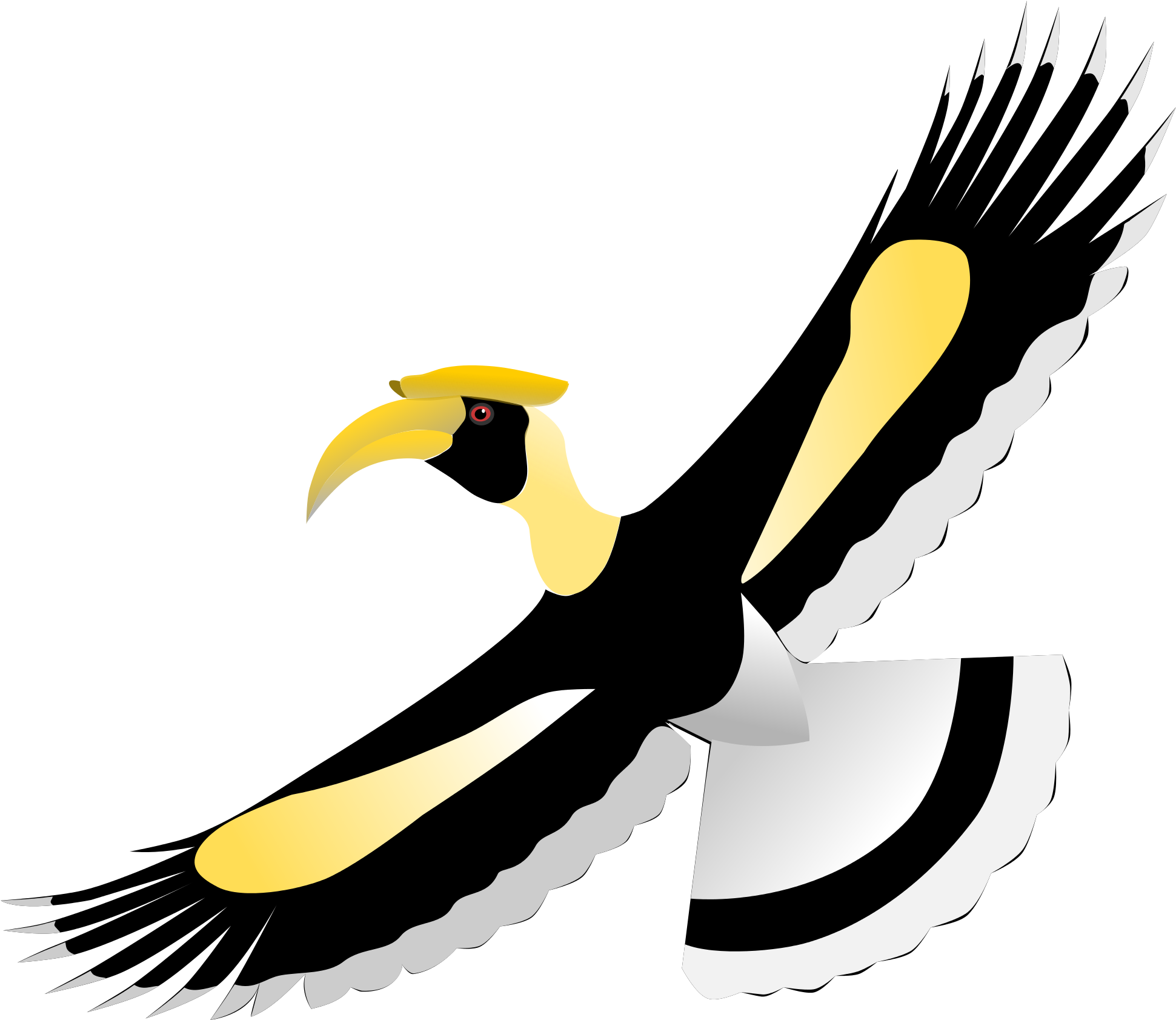 Eagle Flying Cliparts 20, Buy Clip Art - Hornbill Bird Png (2000x2000)