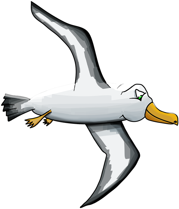 Bird Gulls Albatross Cartoon Clip Art - Albatross (1280x1280)