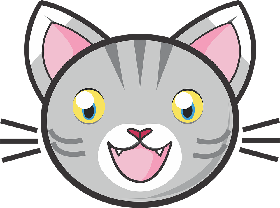 Лицо котика