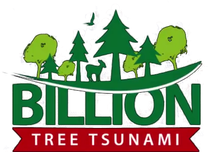 Councilors Allege Irregularities In Billion Tree Tsunami - Councilors Allege Irregularities In Billion Tree Tsunami (485x306)