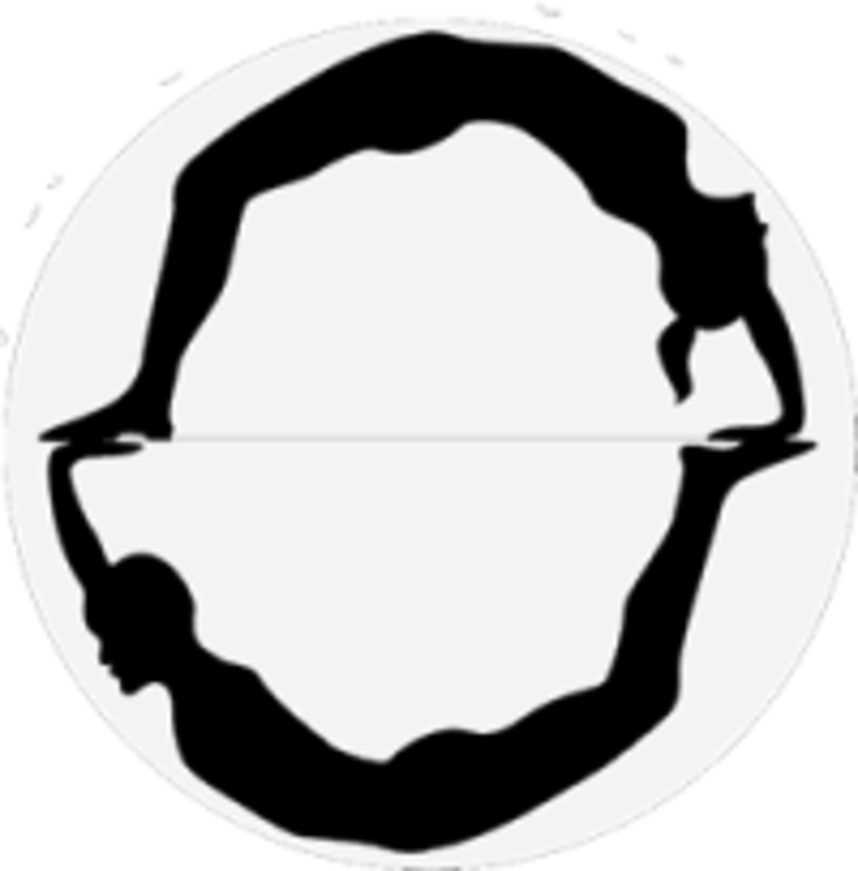 Pilates Bodies In Motion - Book (960x974)