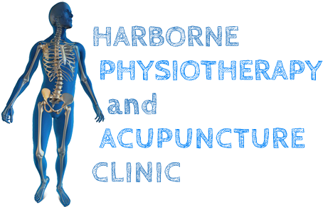 Jess Couser Is An Exceptional Physiotherapist And Elite - Blue Skeleton (470x302)