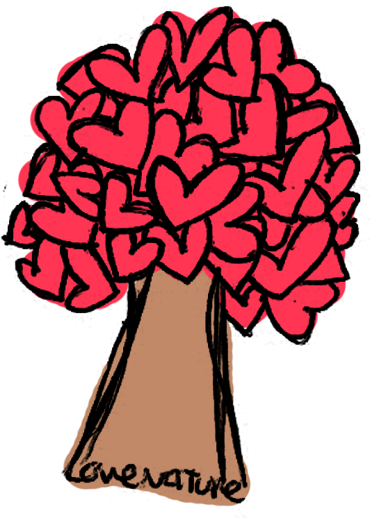 Posted By Rumi Bumrah At - Posted By Rumi Bumrah At (801x768)