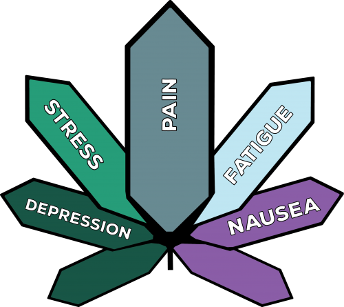 Genetics - Genetics (500x445)