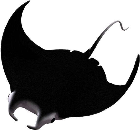 Manta Ray 04 By Wolverine041269 On Deviantart - Manta Ray Png (1024x639)