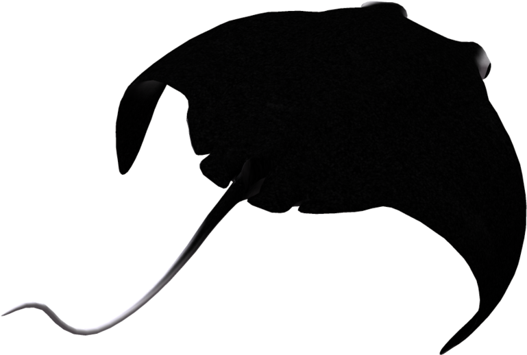 Manta Ray 06 By Wolverine041269 On Deviantart - Silhouette Stingray (1024x639)