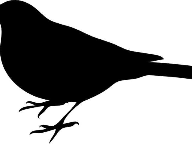 Blackbird Clipart Small Bird - Bird Silhouette Clip Art (1024x786)