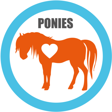 Ponies For Foster - Small Horse Silhouette (468x480)