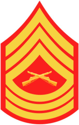 Bob Joins The Air Force And Then Ranked To Master Sargent - Marine Master Sergeant Insignia (305x480)