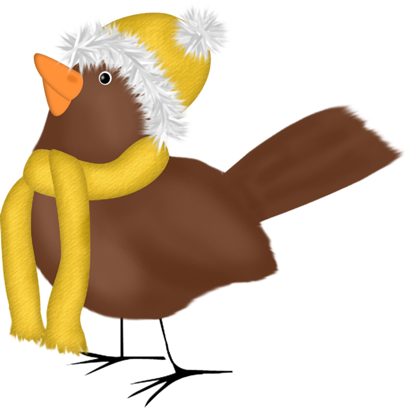 Chicken Bird Duck Hat Clip Art - Chicken Bird Duck Hat Clip Art (798x800)
