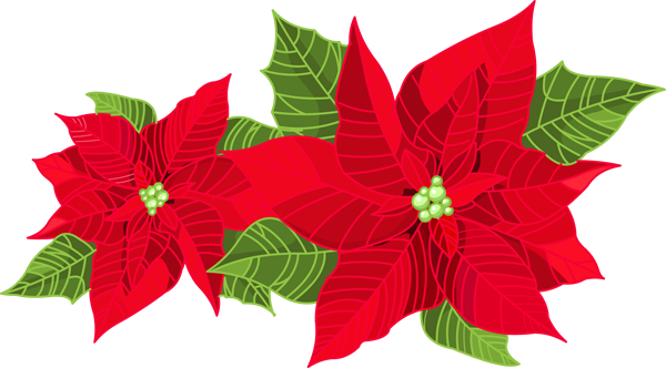 Mistletoe Clipart Free Download Clipartfest - Christmas Decor Poinsettia (640x354)