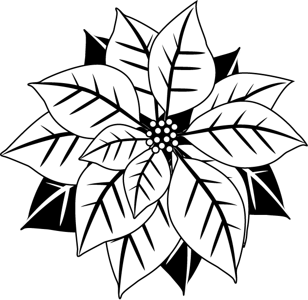 Poinsettias Clipart In Black And White - Letterpressed Mistletoe Coasters - Hautepapier (633x617)