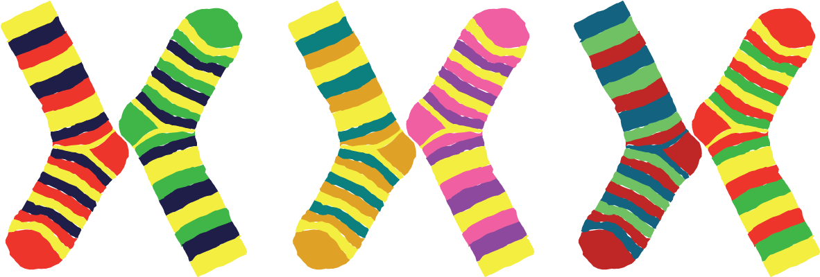 Crazy Socks Clip Art Clipart - World Down Syndrome Day Socks (1339x551)
