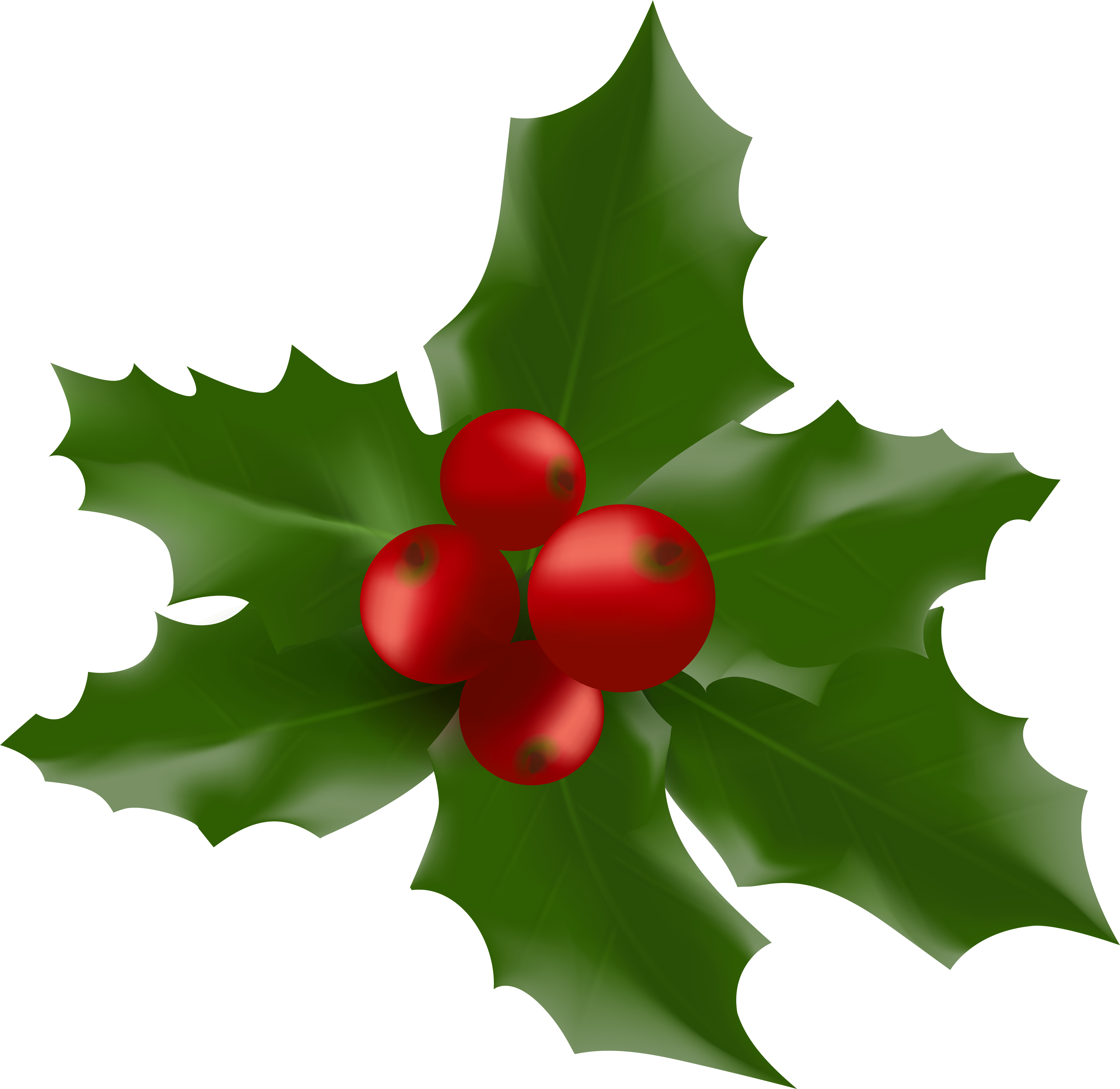 Christmas Holly Clip Art - Clip Art (6010x5900)