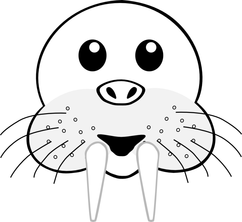 Walrus Clipart Outline - Face Of Animal Clipart Black And White (830x763)
