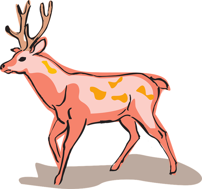 Red Deer Style Wild Animal Unusual - Red Deer Easy Drawing (772x720)