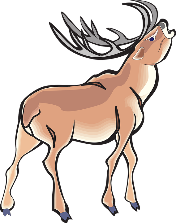 Buck Clipart Mean Pencil And In Color Buck Clipart - Angry Deer Clipart (569x720)