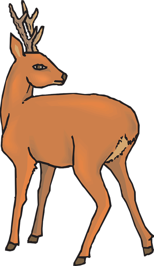 Deer Clip Art - Clipart Daino (500x863)
