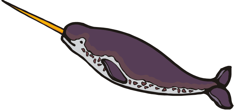Narwhal Clip Art - Narwhal Clip Art (750x357)