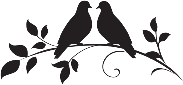 Love Doves Silhouette Png Clip Art - Silhouette Dove Transparent Background (600x287)