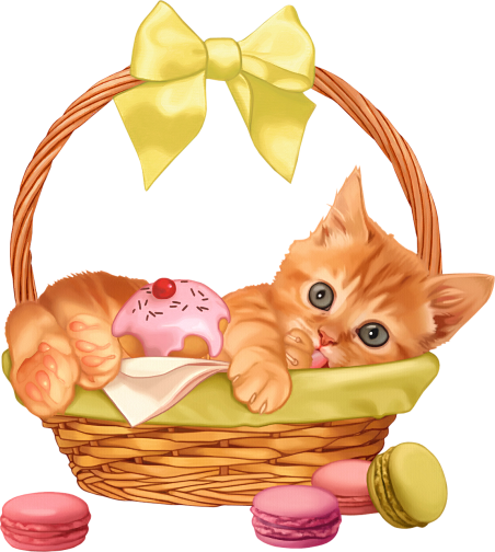 Gatti Tubes Per Grafica In Png - Cat Is In The Basket (452x504)