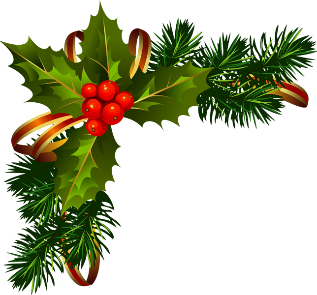 Gif Flor De Pascua - Christmas Frame Border Png (644x600)
