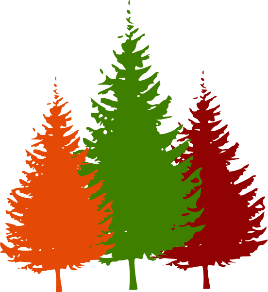 Pine Tree Silhouette Vector (552x601)
