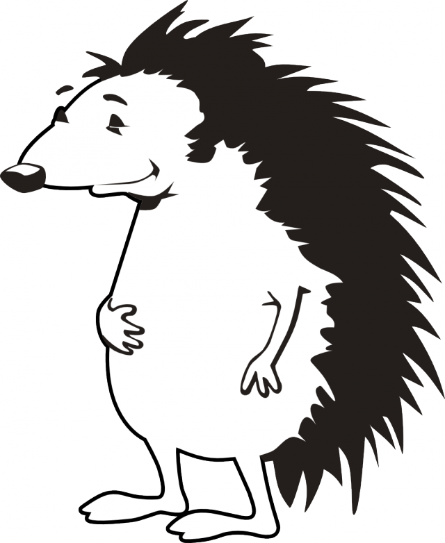 Porcupine Clip Art Free Clipart Library Free Clipart - Hedgehog Black And White Clipart (640x782)
