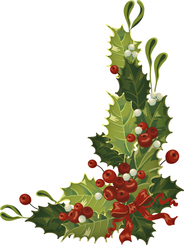 Christmas Clipartchristmas - Feuilles De Gui (600x800)