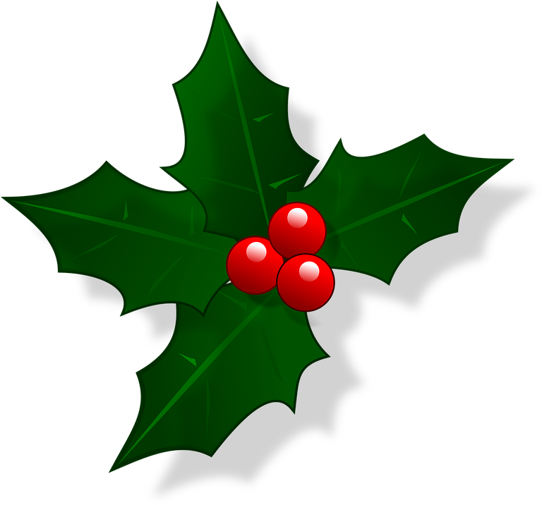 Mail Christmas Holly Xmas Decoration - Christmas Holly (774x720)