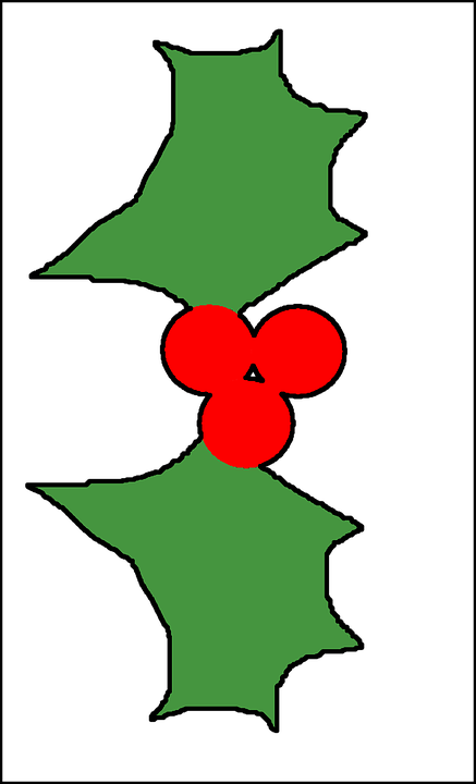 Holly Christmas Christmas Holly Xmas Border - Holly (777x1280)