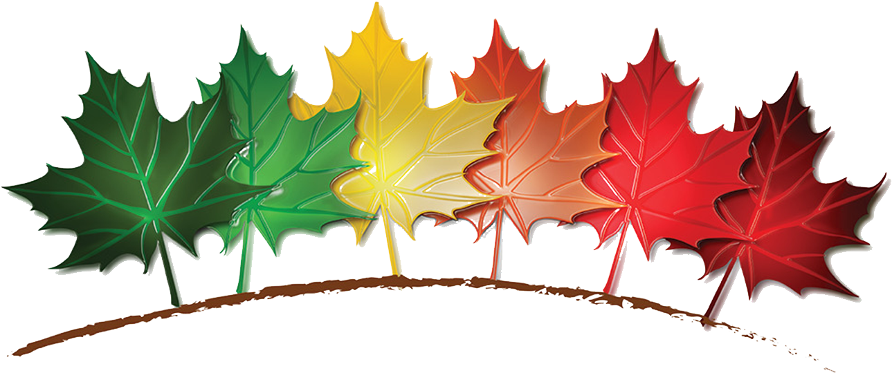 Toggle Navigation - Toggle Navigation (1312x600)