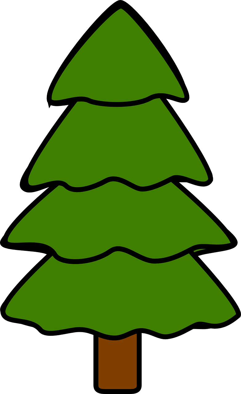 Tree, Fir, Pine, Spruce, Nature - Tree, Fir, Pine, Spruce, Nature (782x1280)